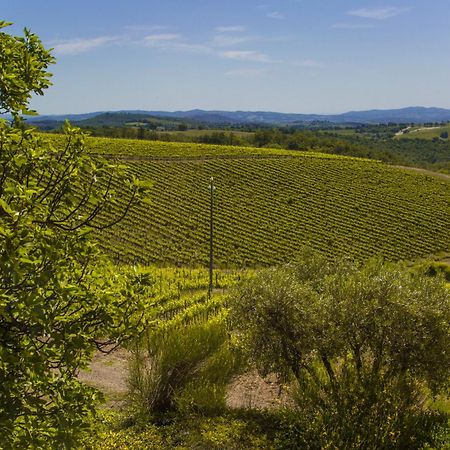 마글리아노 인 토스카나 Fattoria Di Magliano Winery 빌라 객실 사진