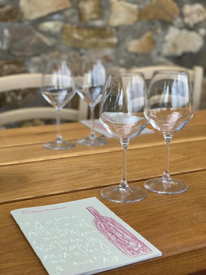 마글리아노 인 토스카나 Fattoria Di Magliano Winery 빌라 외부 사진