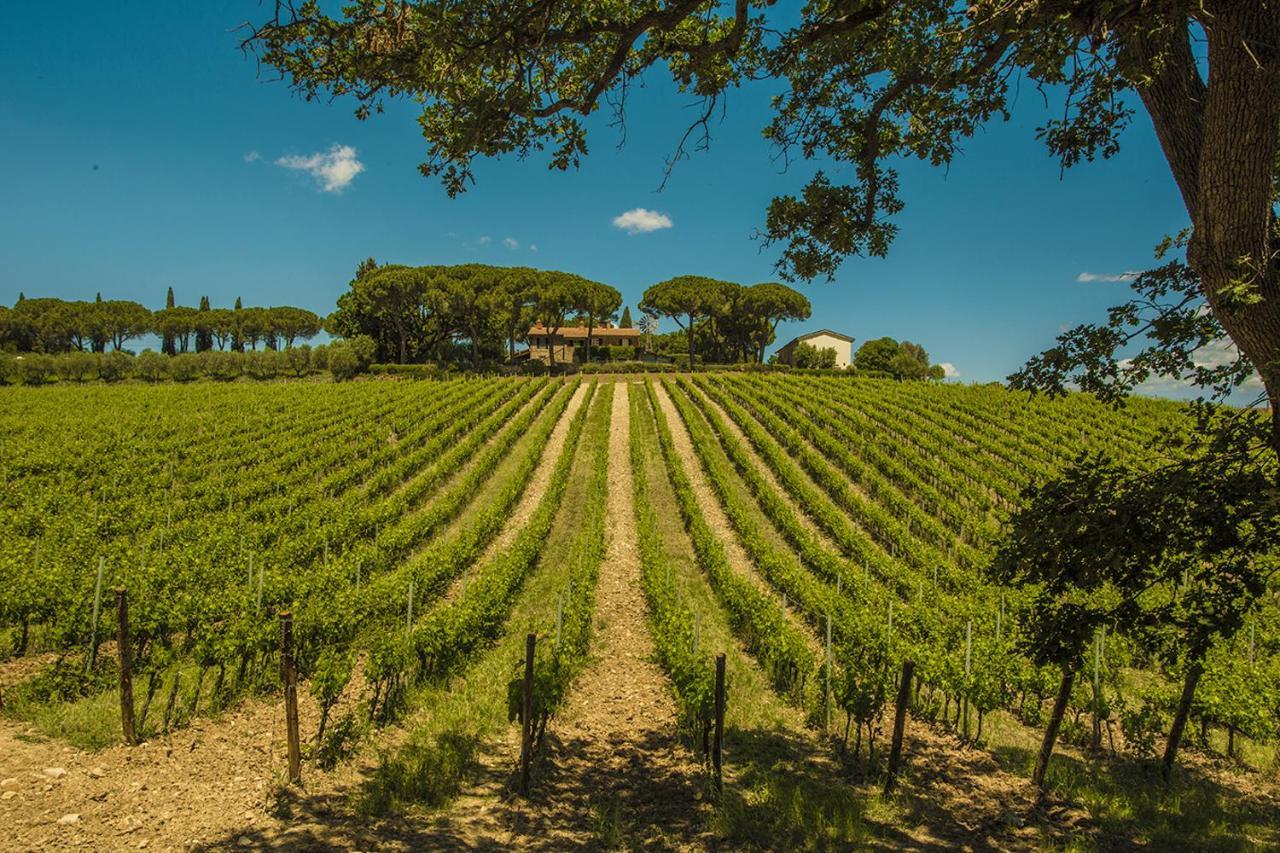 마글리아노 인 토스카나 Fattoria Di Magliano Winery 빌라 외부 사진