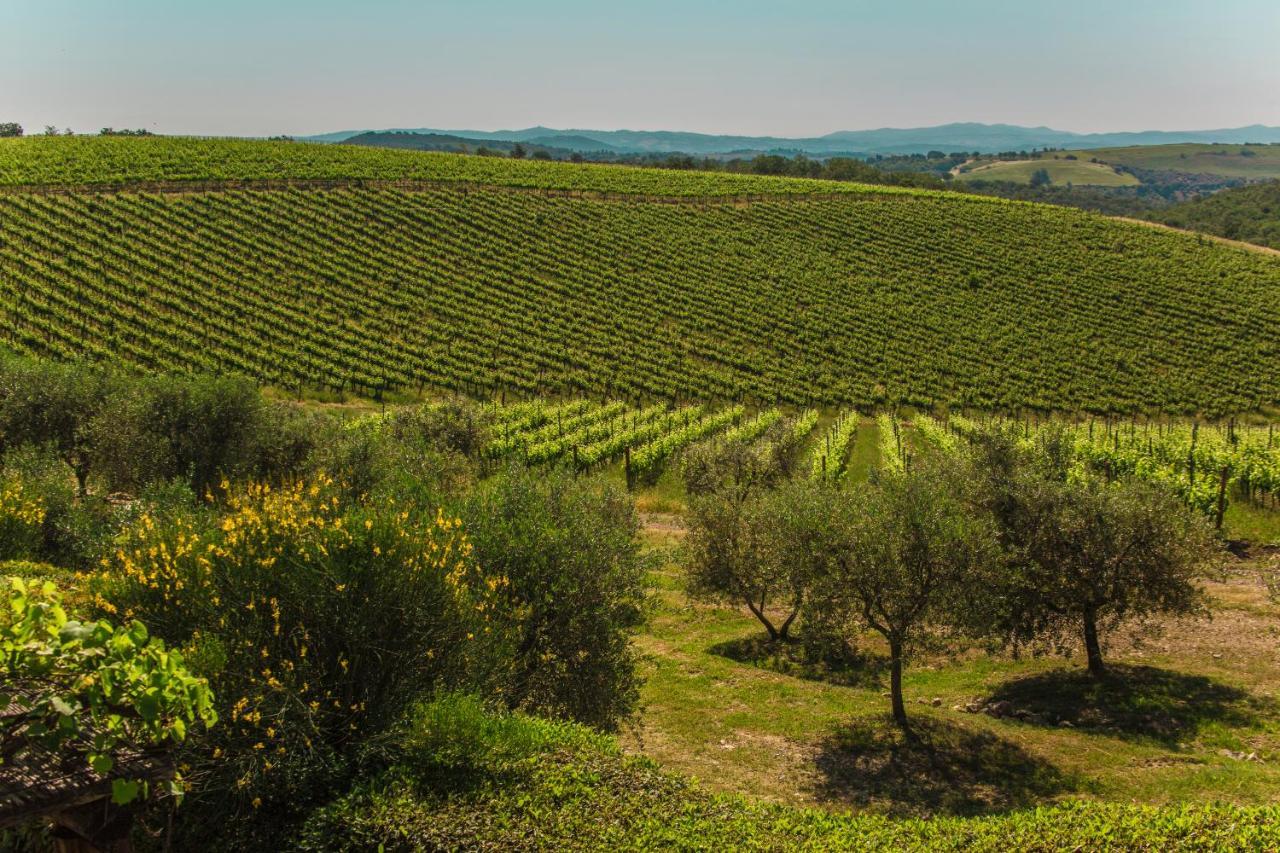 마글리아노 인 토스카나 Fattoria Di Magliano Winery 빌라 외부 사진